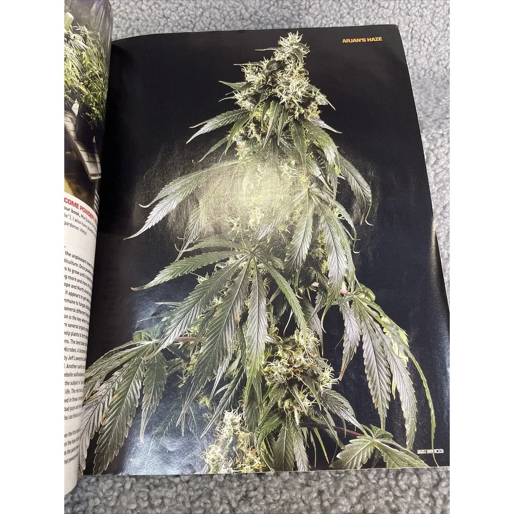 HIGH‎ TIMES MAGAZINE August 2009